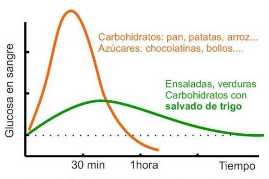 dieta bajo indice glucemico sop