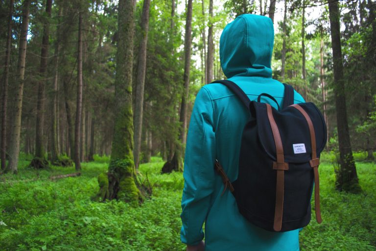 Fungsi hutan bagi makhluk hidup