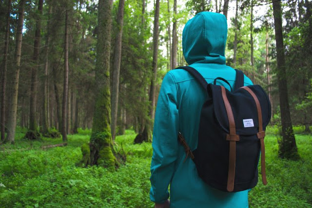 10 Manfaat Hutan Bagi Kehidupan Manusia