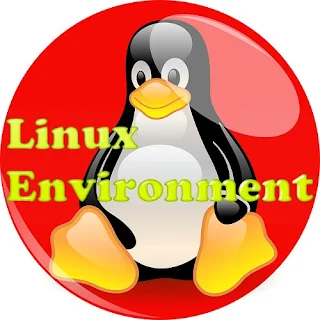 IPU BCA Semester 6: Linux Environment - Linux Boot Sequence
