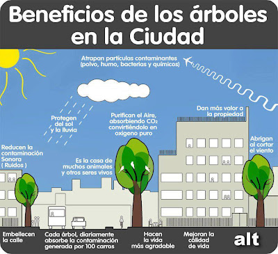 Infografía Beneficios de los árboles en la ciudad