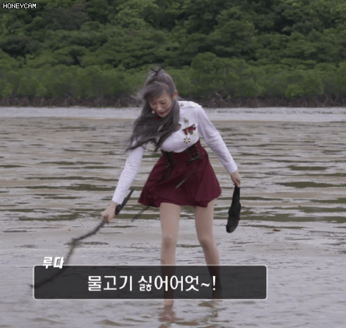 물고기는 싫은데 회는 좋타는 루다 | 인스티즈