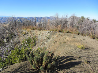 View north from Mt. Deception