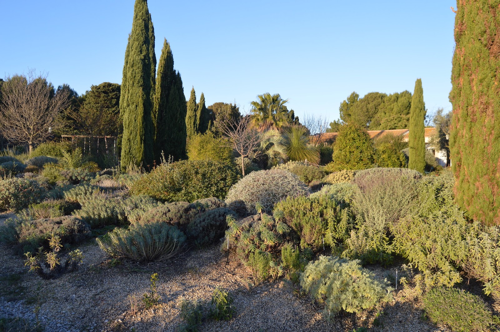 Noel S Garden Blog Olivier Filippi And The Mediterranean Garden Of The Future