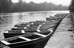 Vuelven las barcas al Ebro