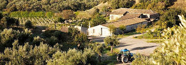 Riconoscimenti ai vini prodotti da Piero Romano presso la Fattoria San Sebastiano a Strongoli