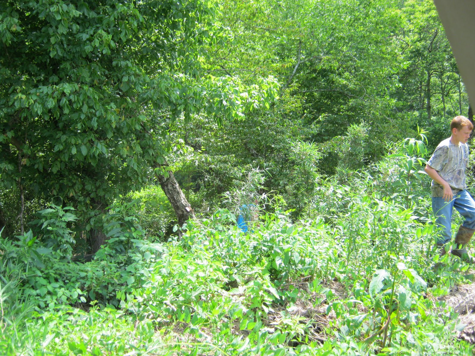 Grow Appalachia Going Cane Pole Hunting Jackie Waldroop Henderson