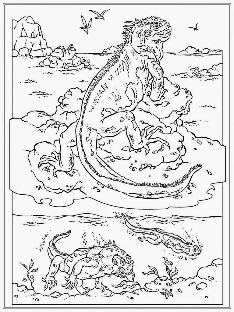 young adult coloring pages - photo #1