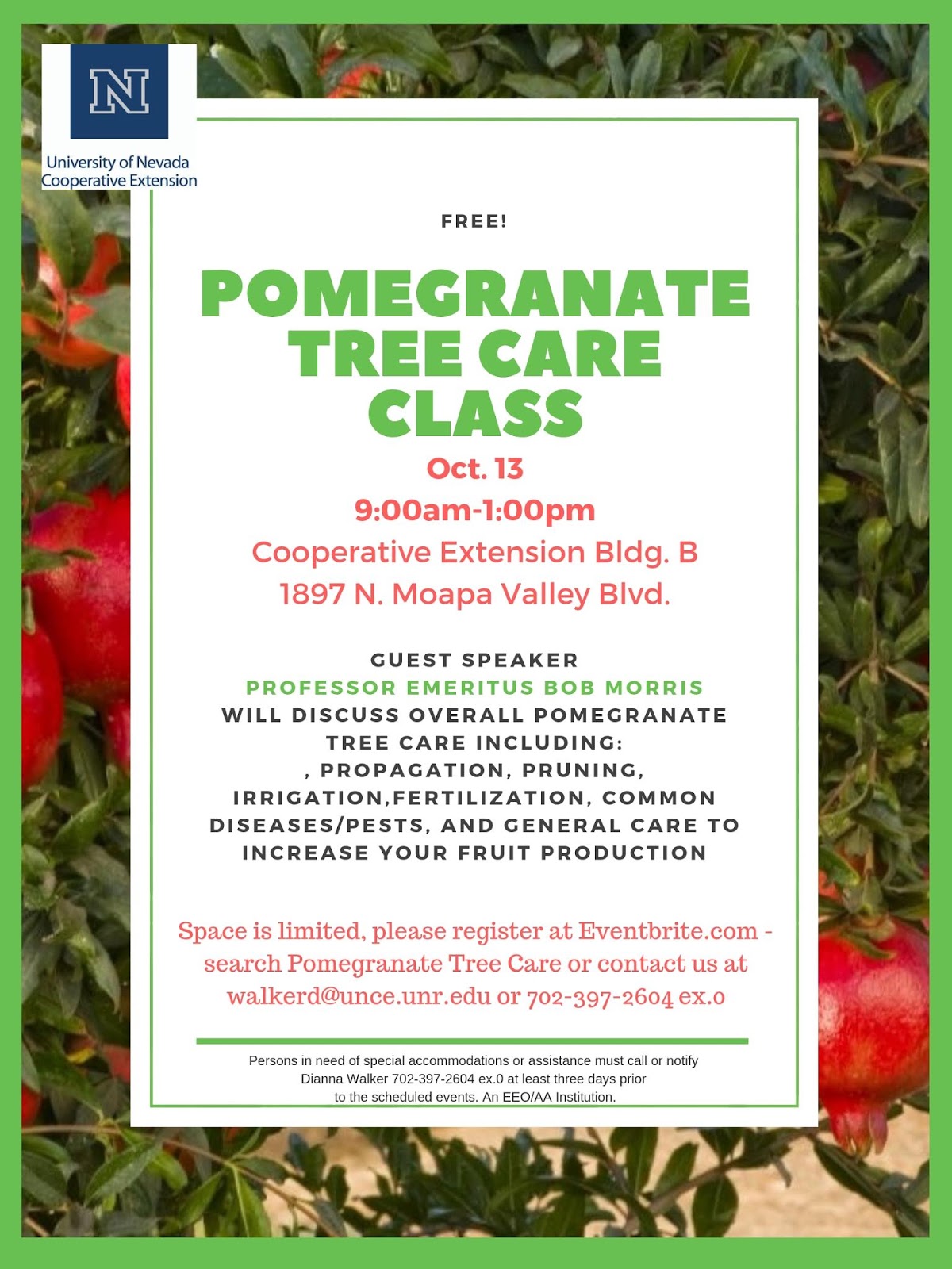 Xtremehorticulture of the Desert Pomegranate Planting and Management