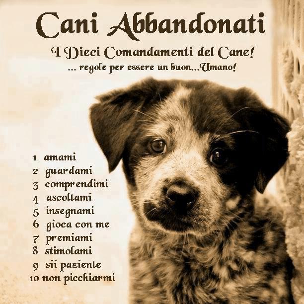 I 10 Comandamenti del cane e di tutti gli animali