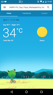 Google-Weather-frog Google-Weather-frog