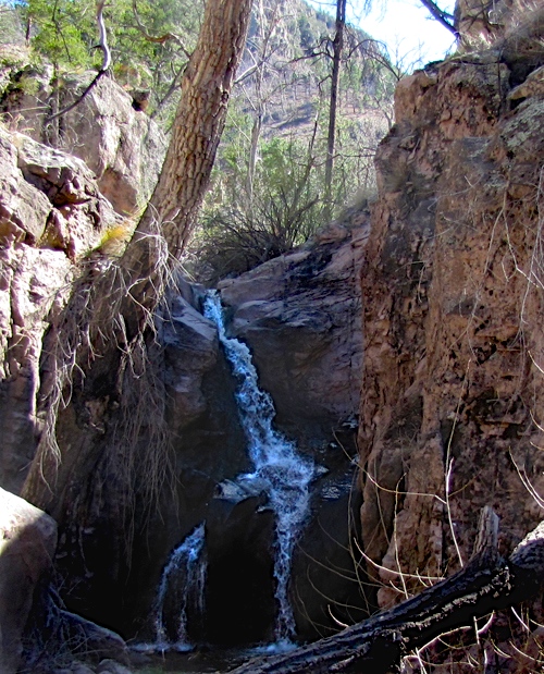 Southern New Mexico Explorer Aldo Leopold Wilderness West Curtis Canyon