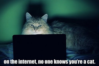 tumblr_lh77lxjpoH1qa9u6ko1_500.jpg