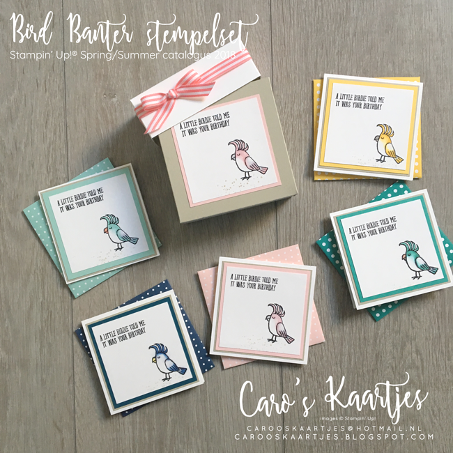 Caro's Kaartjes | Onafhankelijk Stampin' Up! demonstratrice | www.carooskaartjes.blogspot.nl | carooskaartjes@hotmail.nl |Stampin' Up! verkooppunt | Bird Banter | Stampin' Blends | alcohol markers | stiften op alcohol basis | Stampin' Up! stempels | Stampin' Up! framelits | Stampin' Up! Spring Summer catalogus | Stampin' Up! lente/zomer catalogus | stempelen | vogel | kleuren | kleuren voor volwassenen | doosje met kaartjes | zelfgemaakt | diy | hobby | inkleuren | bloghop | Creatieve Harten | Stampin' Up! bestellen | creatief | Wateringen | Westland | Delft | Den Haag www.carooskaartjes.blogspot.com