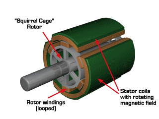Electrical Fundamentals: INDUCTION MOTOR