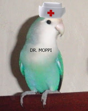 Hola, soy el Dr. Moppi.
