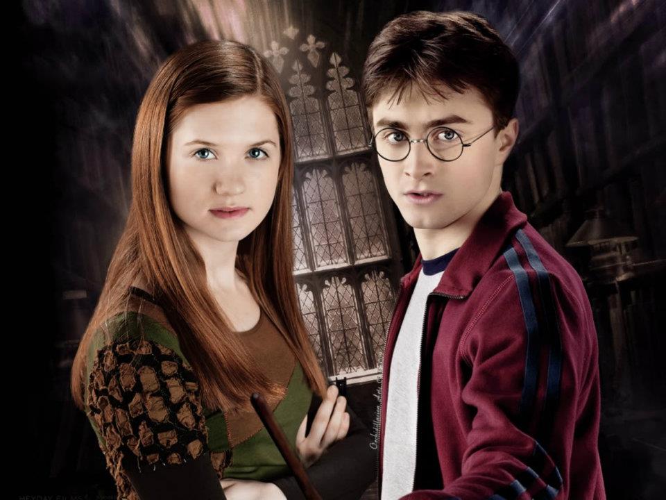 Harry Potter Et Ginny Weasley Enceinte DraMione: 42. El duelo de los Durshley.