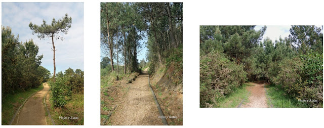 Ruta de Pinos Altos, Asturias