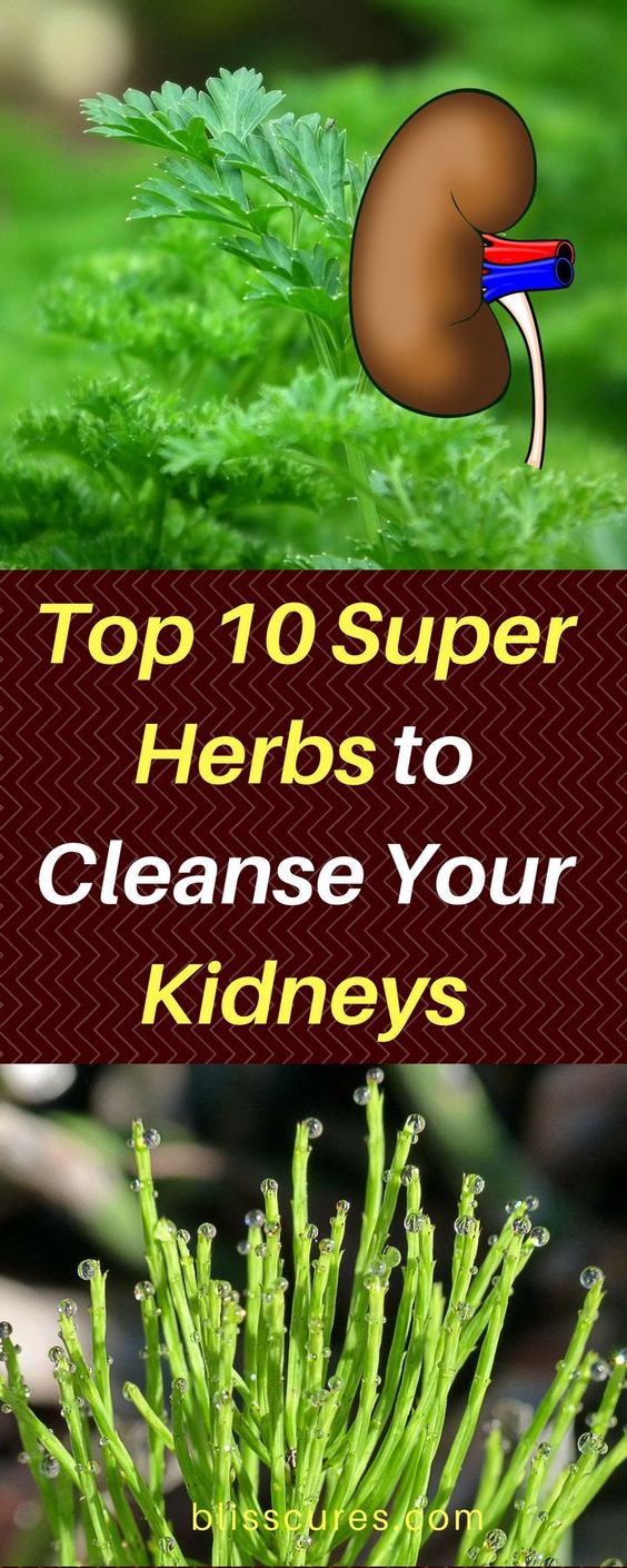 Top 10 Super Herbs to Cleanse Your Kidneys BEAUTIFUL DIY AND HEALTH