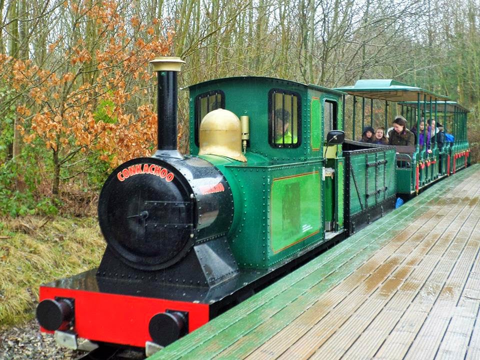 Martin Brookes Oakham: Conkachoo Train Conkers National Forest ...