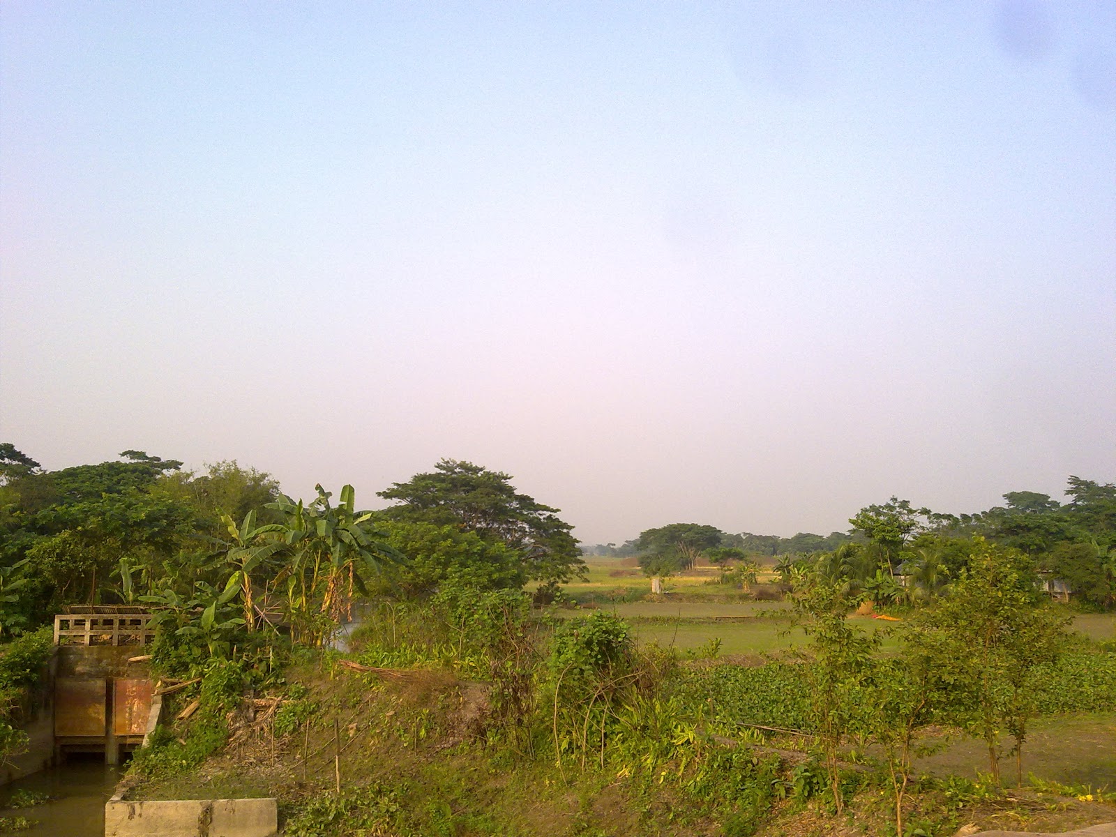 green bangladesh tours