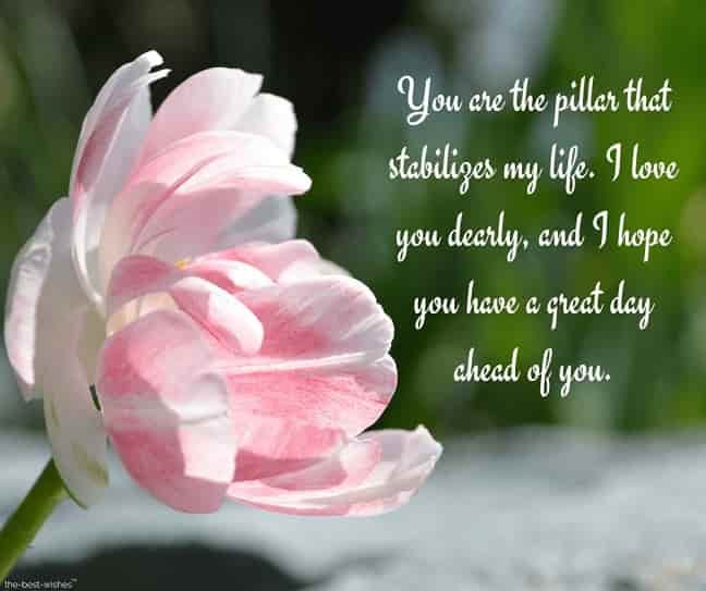cute-have-a-good-day-messages-for-him-with-pink-flower cute have a good day messages for him with pink flower
