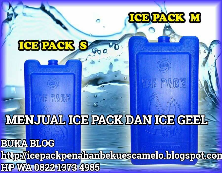 ICE PACK MENAHAN BEKU ES CAMELO DALAM BOK TERMOS