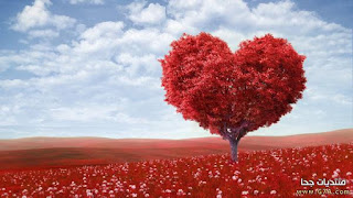 images d'amour pour les amoureux images d'amour pour les amoureux