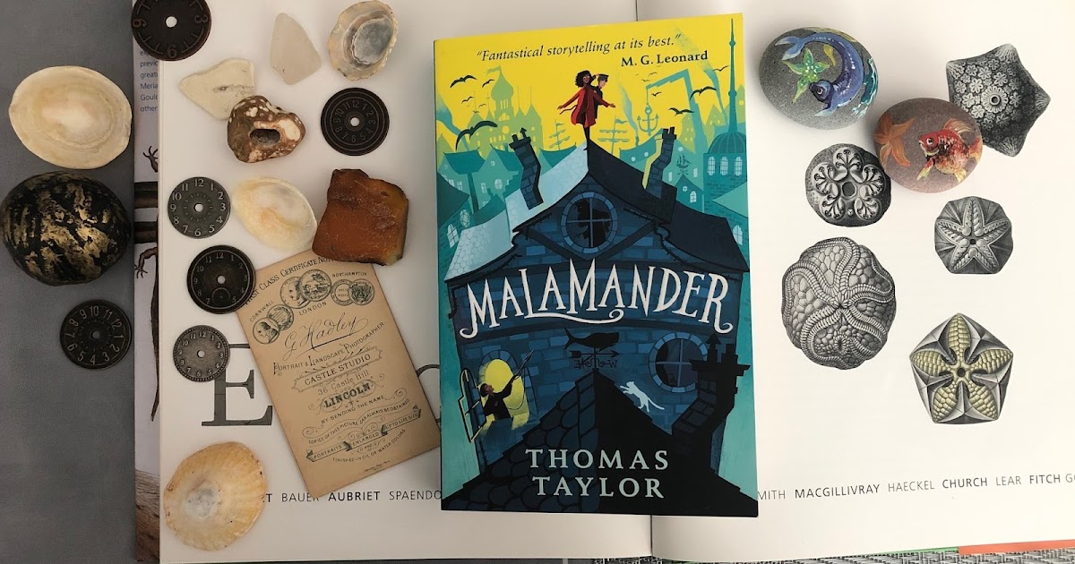 Chez Maximka Malamander by Thomas Taylor