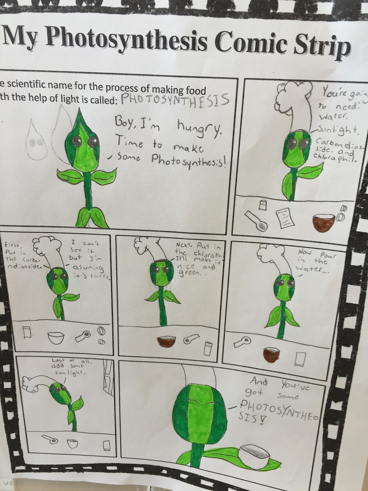 school project photosynthesis comic strip