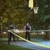 Estero. Usa: sparatoria notturna in parco a Chicago, 11 feriti; colpito bimbo di 3 anni