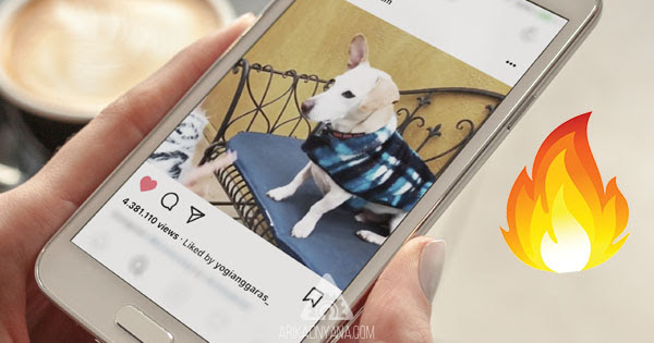 4 Cara Efektif Memperbanyak Viewer Pada Video di Instagram