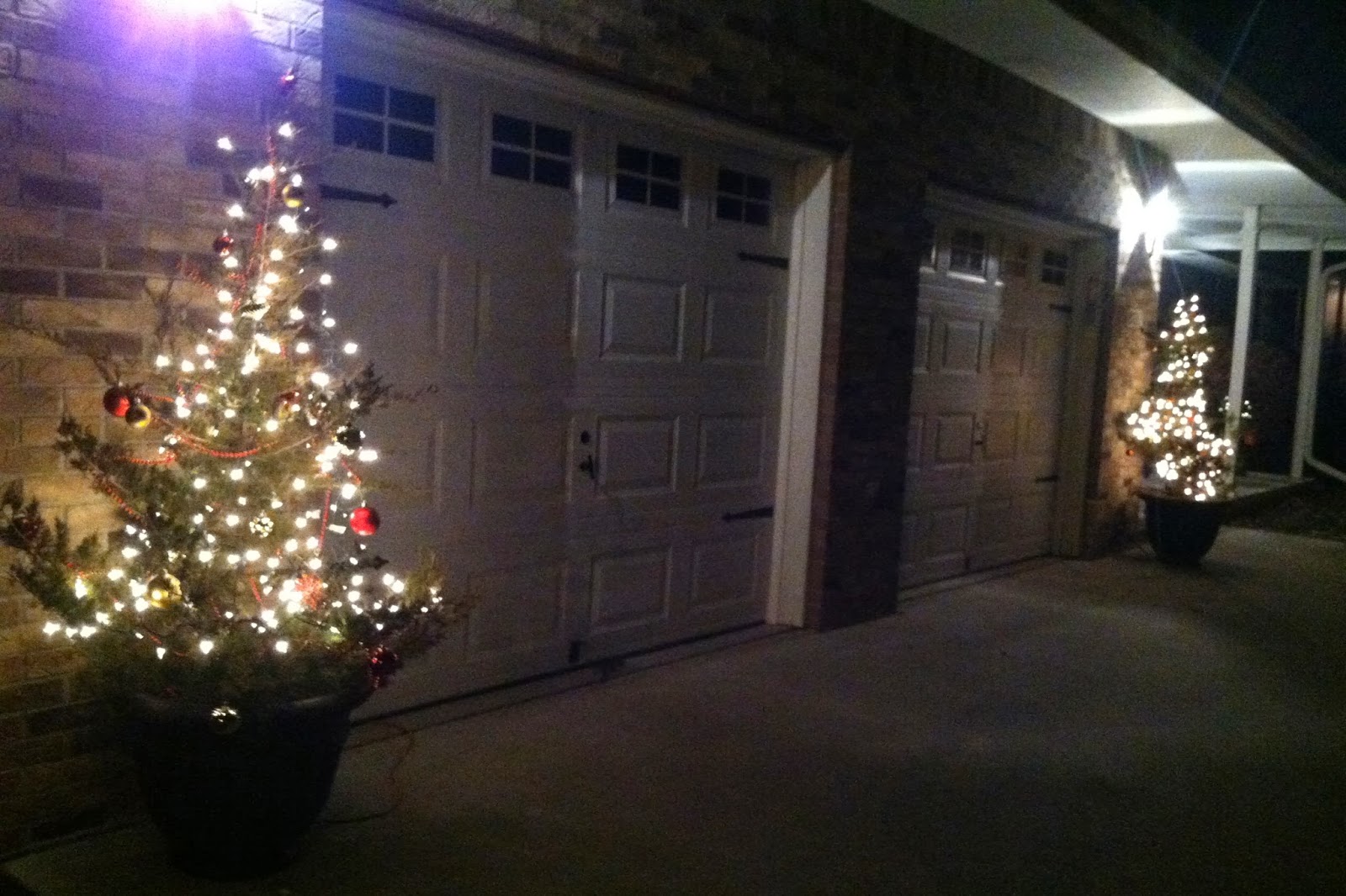 DIY Why Spend More: Free outdoor Christmas trees