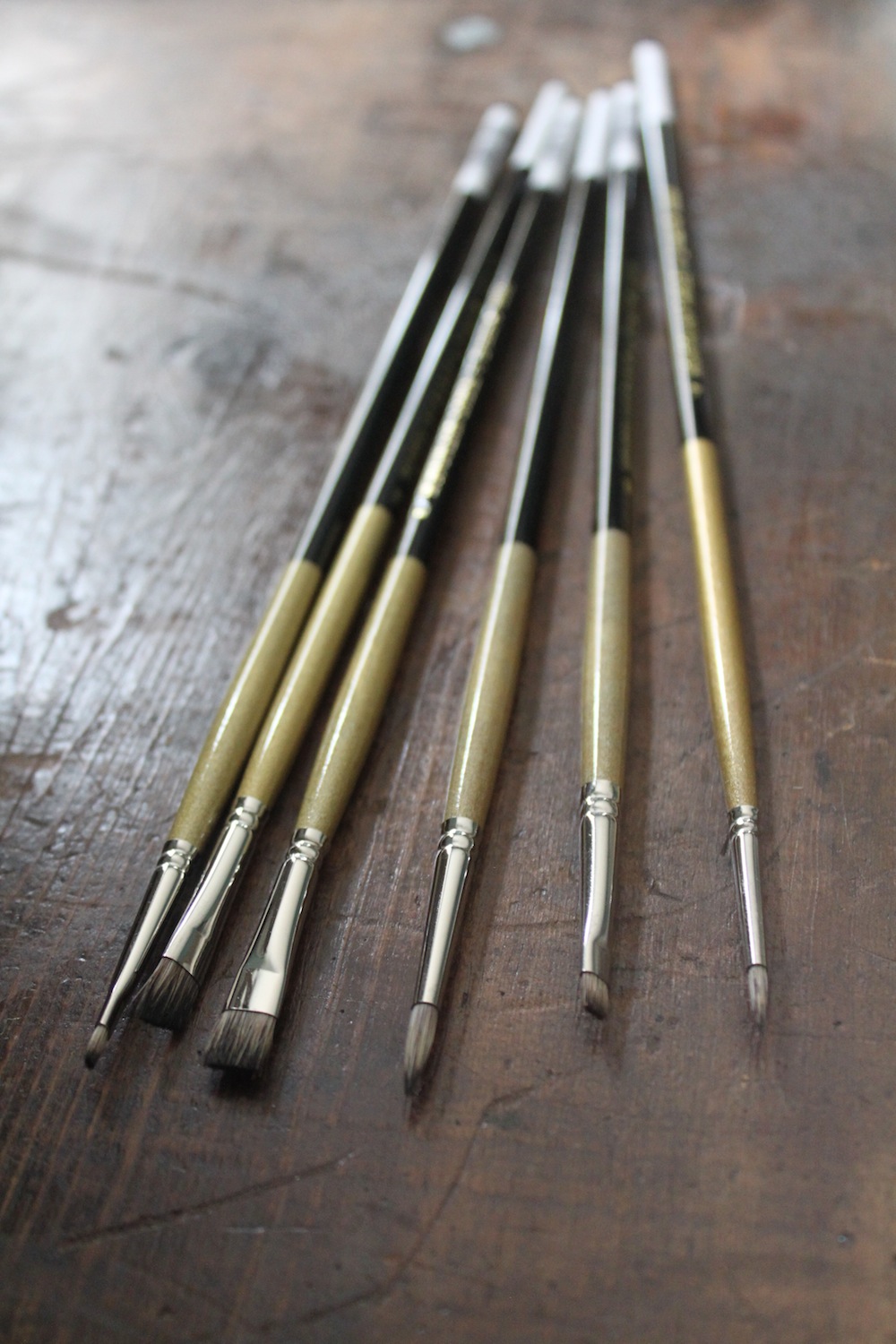 Paint Brush Highlights Mongolian Sable