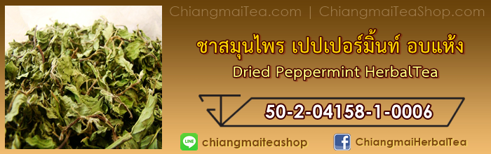 อย เปปเปอร์มิ้นท์