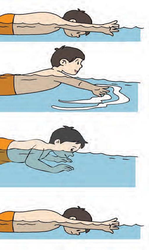 OLAHRAGA ANAK: RENANG GAYA DADA, KELAS 3 SEM 2