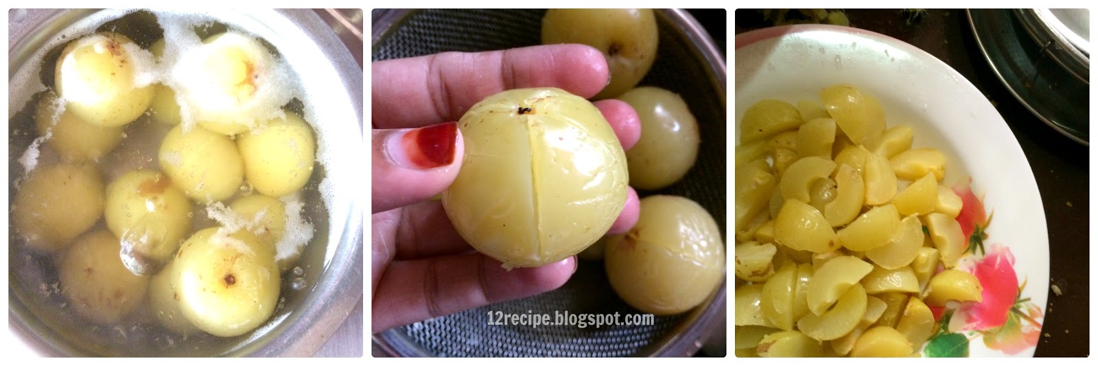 Amla Candy Recipe Book