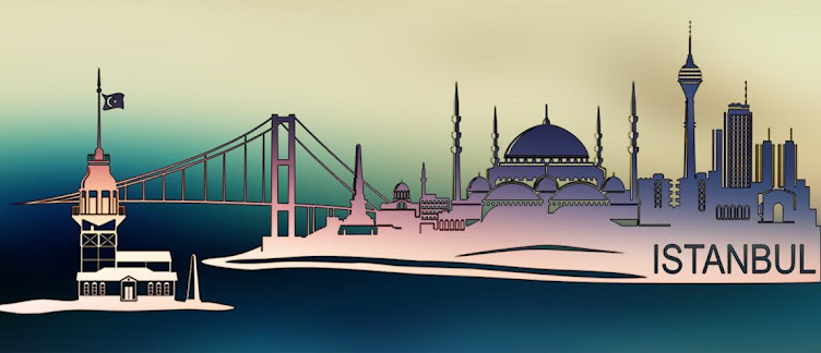 İstanbul Servis