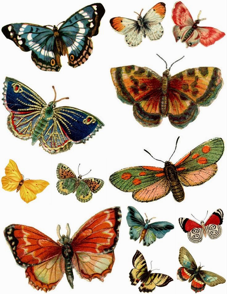 Mariposas Para Imprimir Y Recortar Reverasite