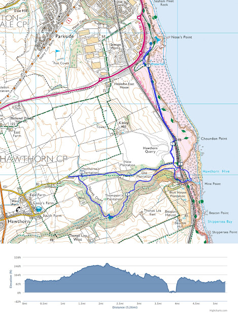 Hawthorn Hive Dene Walk, Seaham, County Durham woodland coastal walk short