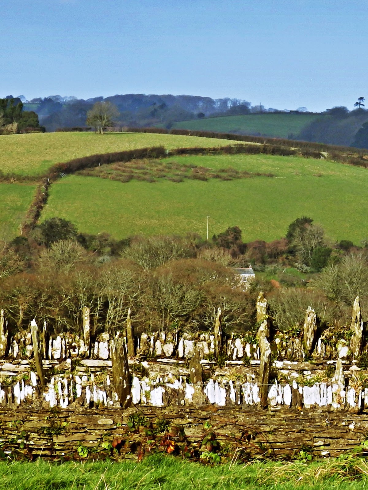 Mike's Cornwall Trelissick House and Gardens With Stunning Maritime Views