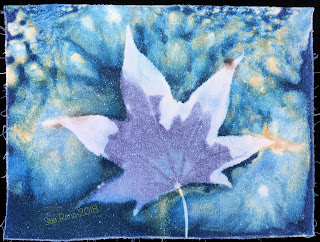 Wet cyanotype_Sue Reno_Image 397