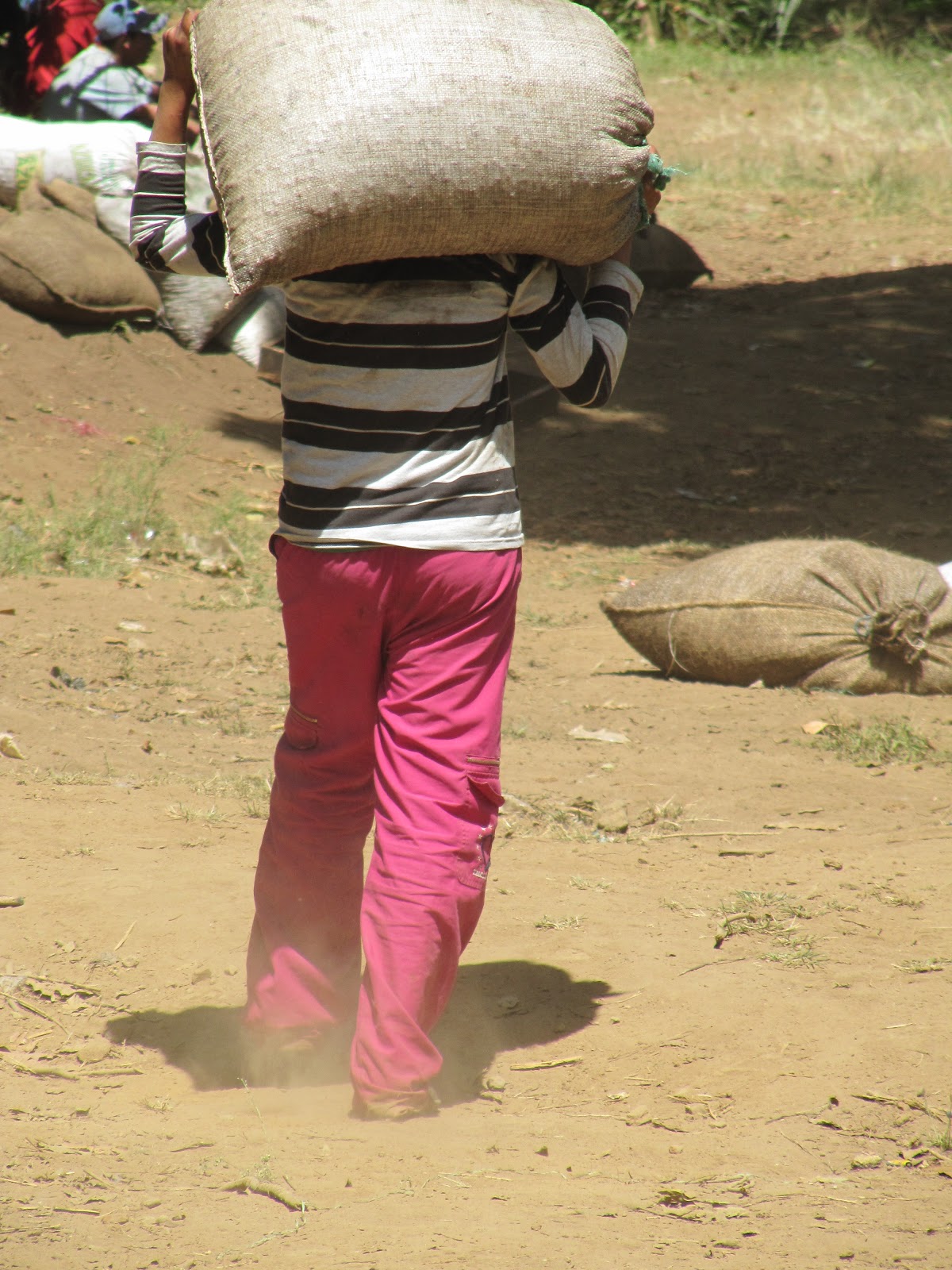 Expat Woman Living In El Salvador