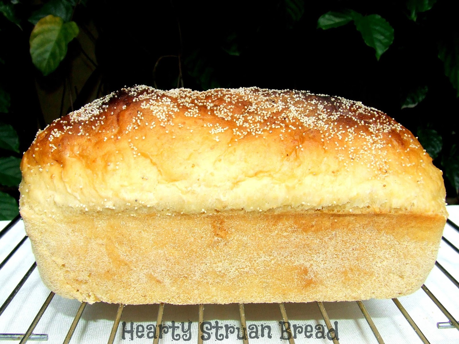 Struan Bread Ambrosia