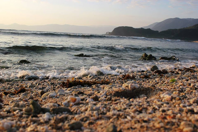 Seashell lies on the rocky shoreline of a wavy sea.
