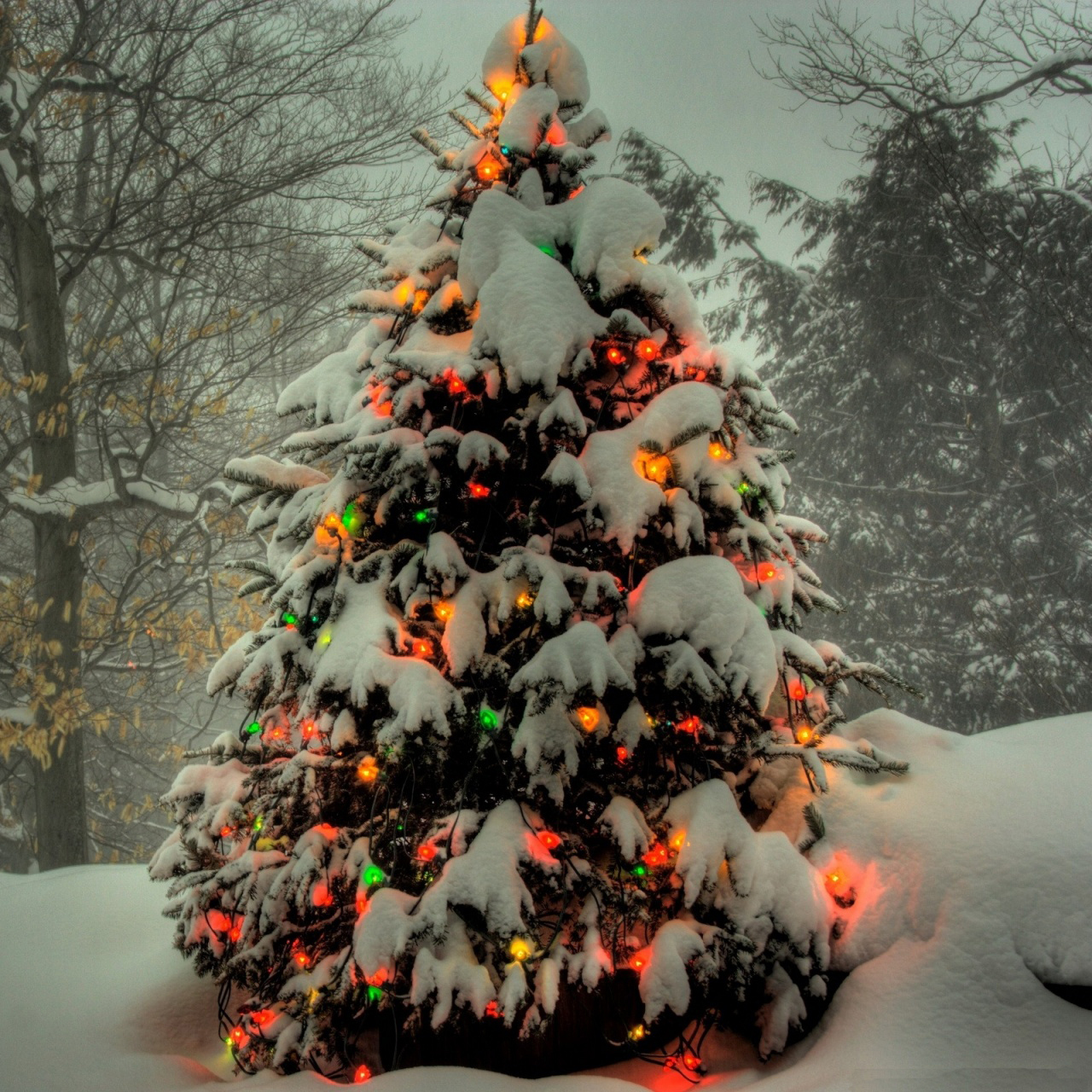 PicturesPool: XMas tree wallpapers| Happy Christmas | Merry Christmas 2013 Wallpapers