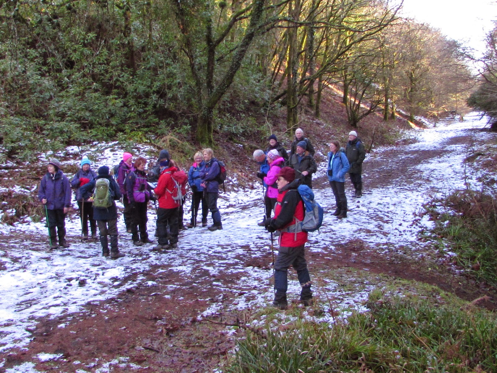 The Glebe Blog Wigtownshire RamblersSt Helena IslandGlenluce Abbey January 2015