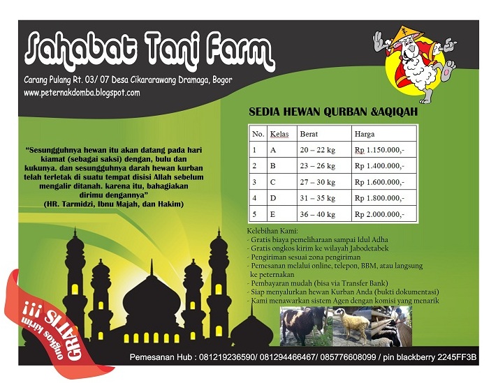 Contoh Brosur Tabungan Qurban Modify 4