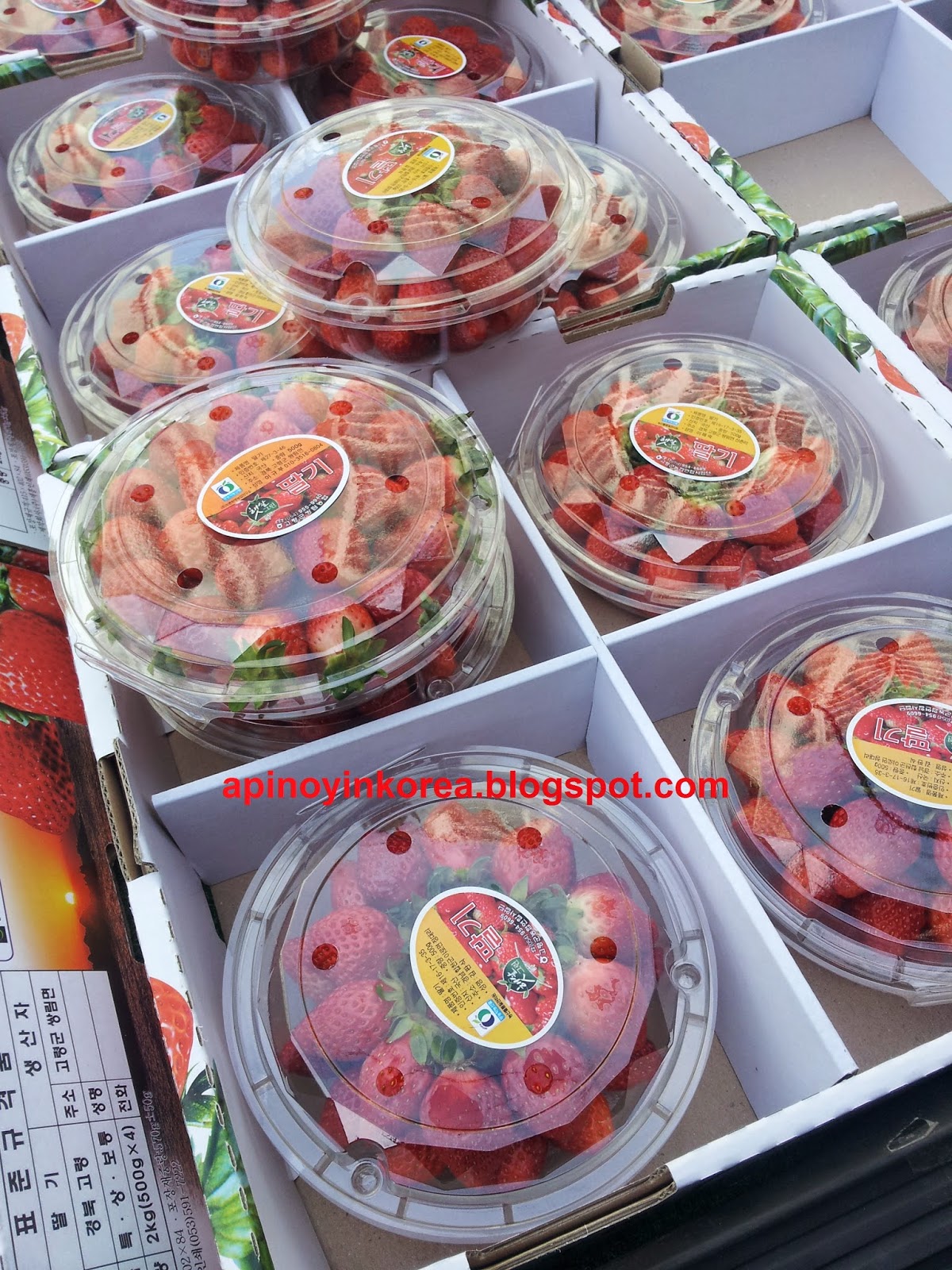 A Pinoy in Korea: Spring, Strawberries And Smoothies!