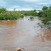 Chuva forte acompanhada de ventania derruba árvores no interior da PB